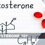 testosterone 101