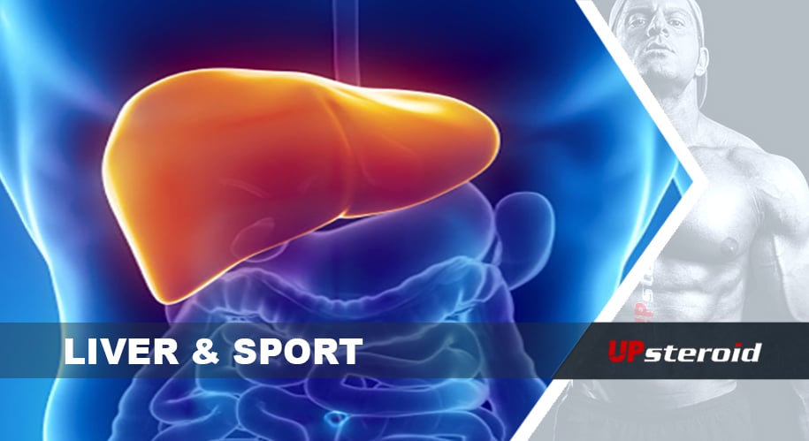 liver sport