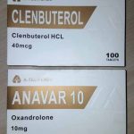 27 11 2018 SAINT GILLES LES BAINS FRANCE