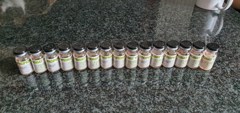 2019 11 05 5dc1b2c1cce2e 20191105 110344