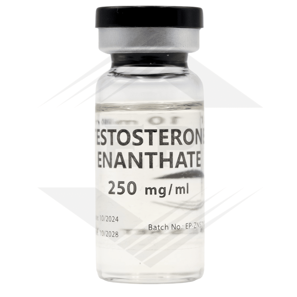 Testosterone Enanthate - 250mg/ml 10ml/Flacon - Euro Pharmacies