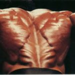 Dos de Samir évoquant le "sapin de Noël"