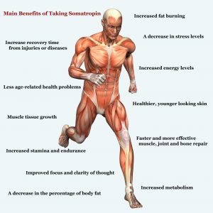 benefits-of-Somatropin