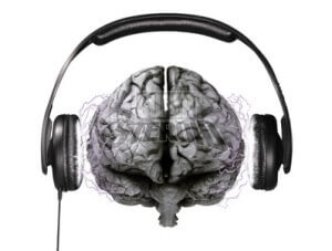 cerveau.auditif.-1-