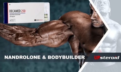 nandrolone bodybuilding up