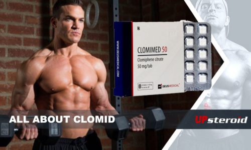 all about clomid UP