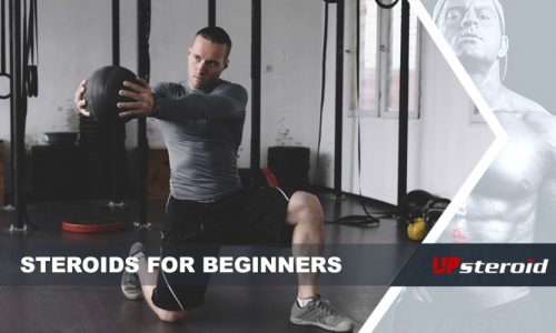 steroids beginners