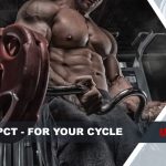 sarms cycle