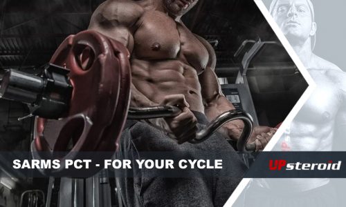 sarms cycle