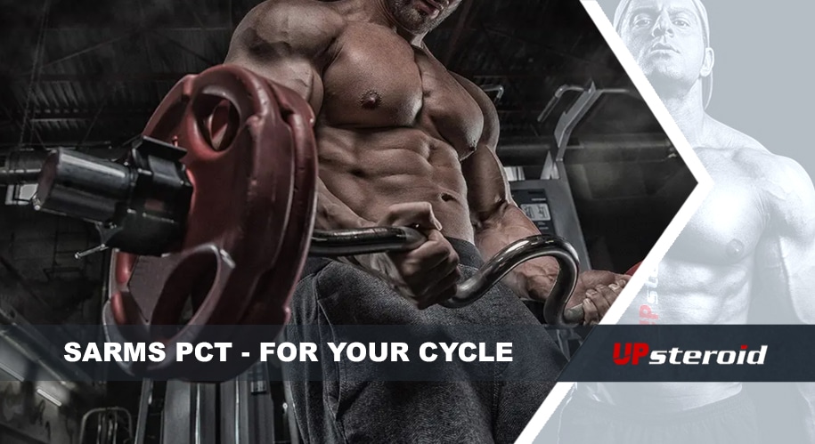 sarms cycle