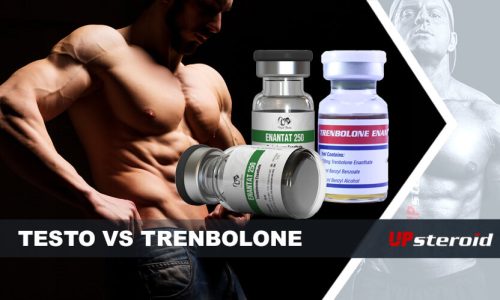 up blog la testosterone et la trenbolone