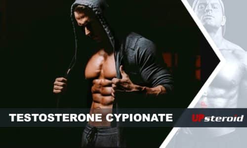 up blog testosterone cypionate pour le bodybuilding