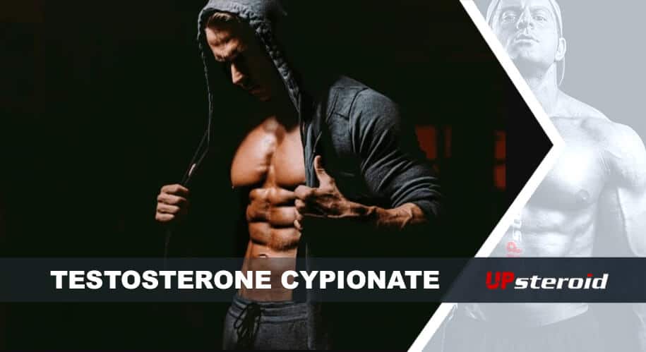 up blog testosterone cypionate pour le bodybuilding