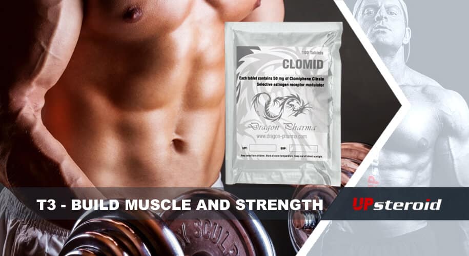 up blog t3 build muscle strength