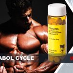 up blog turinabol cycle