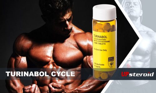 up blog turinabol cycle