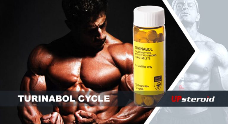 up blog turinabol cycle