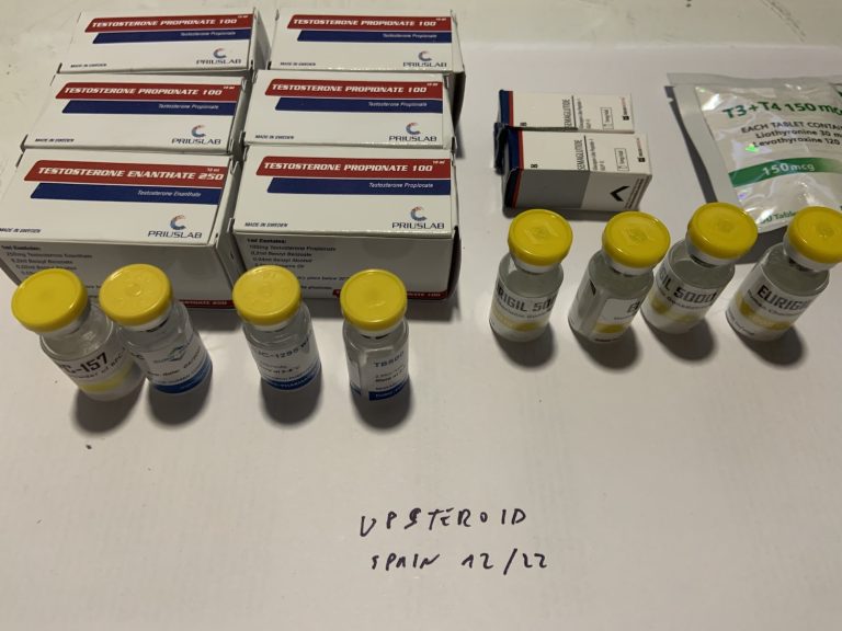 2023 01 04 63b60534cc5fd Foto4 1 23235527