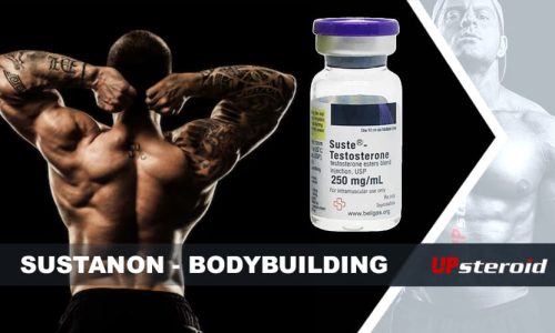 up blog susta bodybuilding
