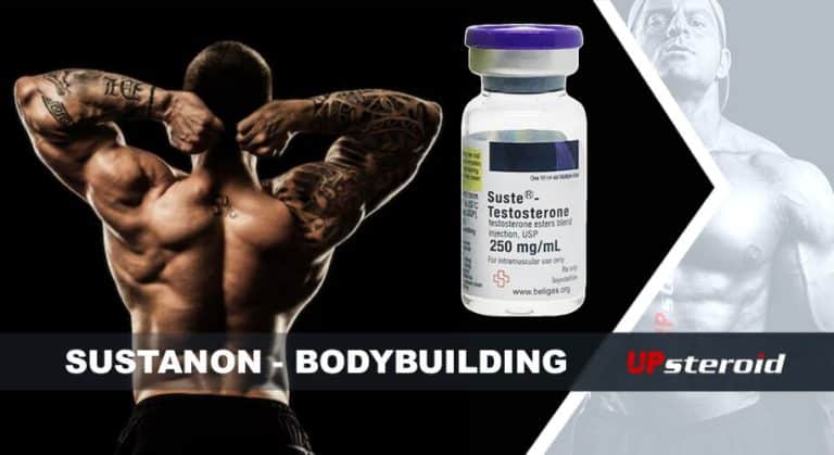 up blog susta bodybuilding