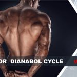 up blog tips dianabol cycle