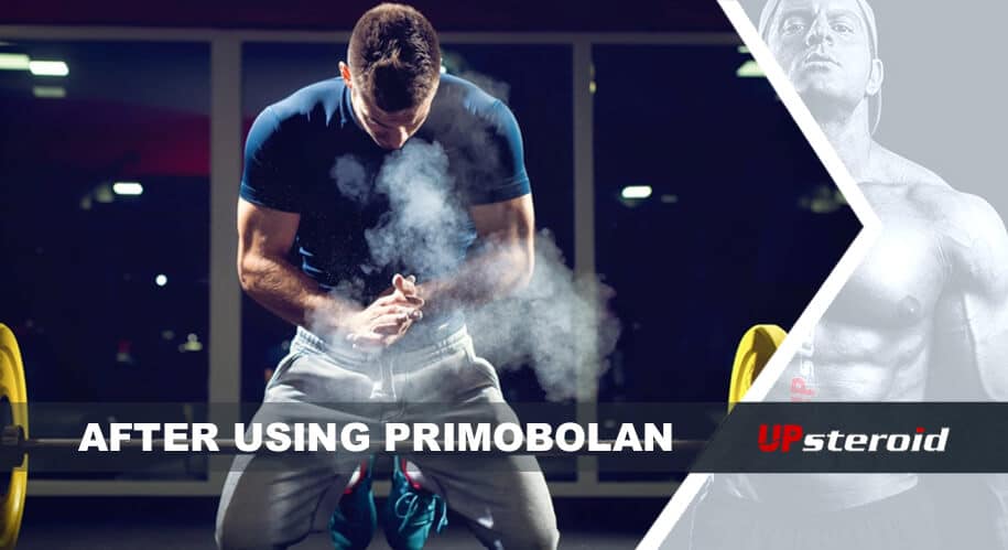 up blog after using primobolan