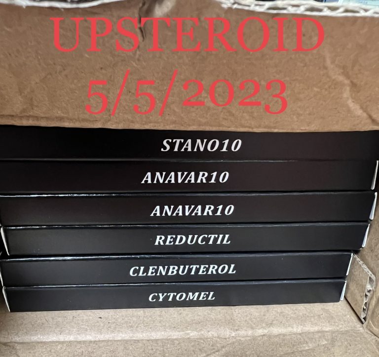 2023 10 05 651ed9e87e731 IMG 7302