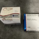 2023 11 06 6549171144036 IMG 0107