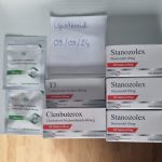 2024 03 17 65f6cd9dc69f5 20240317 1158131150