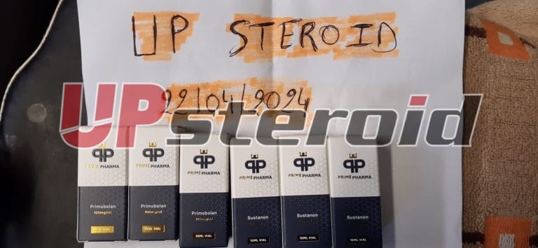 2024 04 23 6627a1049b50d primo