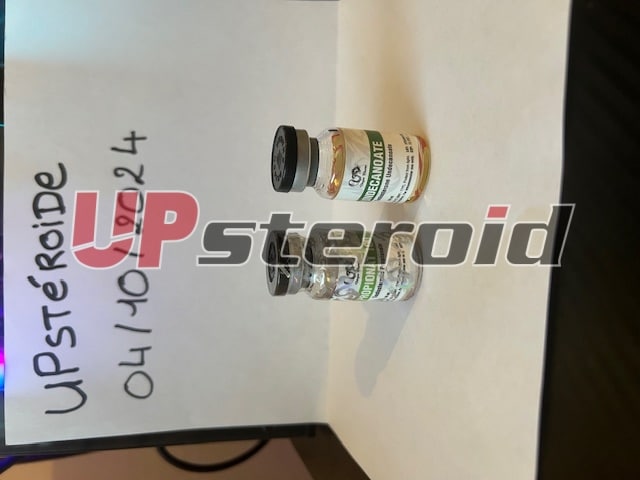 2024 10 04 67002035888d8 IMG 0072