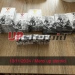 2024 11 13 6734c513b97da IMG 7791