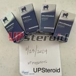 2024 11 23 6741f5d7b2527 IMG 5090