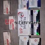 2024 12 31 6774061083b49 UpSteroid3