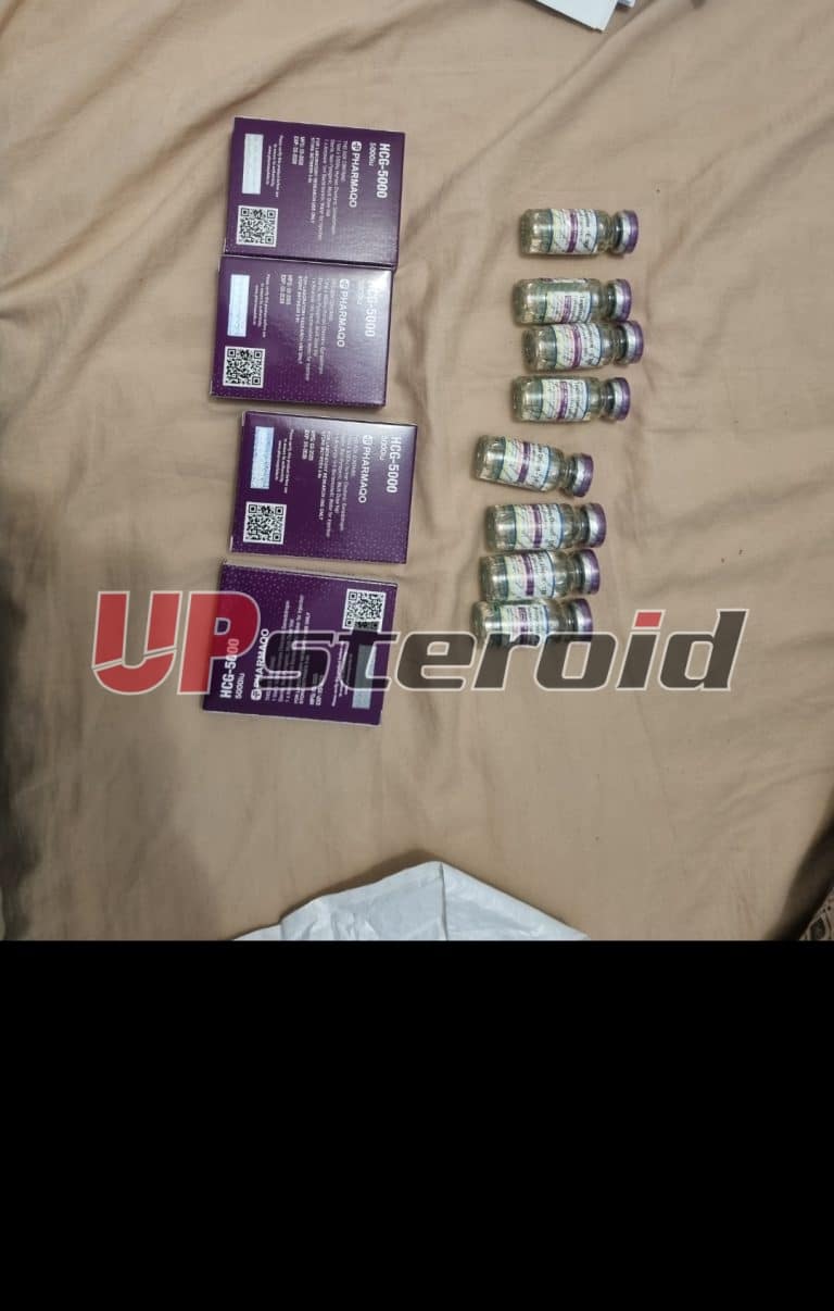 2025 08 04 68913be446f01 Screenshot 20250805 010032 Gallery