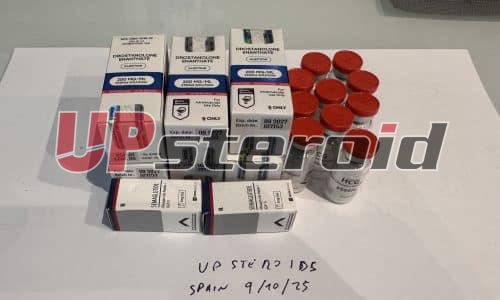 2025 10 09 68e7b0ad0aa28 Photo9 10 25143149