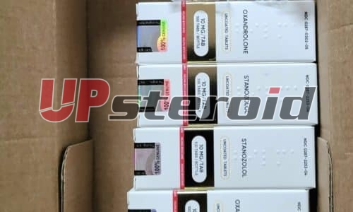 2025 11 01 6905e65f16fff Screenshot 20251019 144833 Gallery