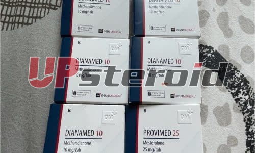 13/11/2025 - HURIGNY -  FRANCE