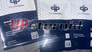 2025 11 17 691ad8a738de3 IMG 2225