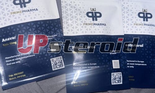 18/11/2025 - NOTTONVILLE -  FRANCE