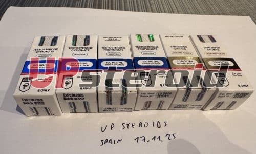 2025 11 24 6924a699ecc1e Foto22 11 25211711