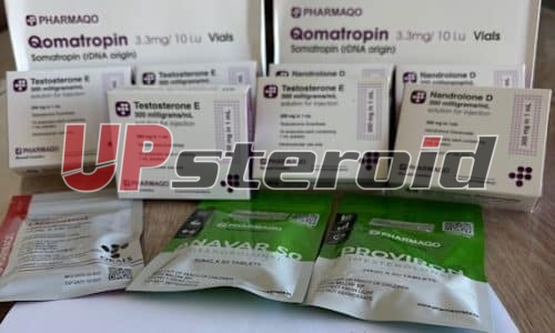 2025 11 26 6926b03e0cc2f IMG 4514