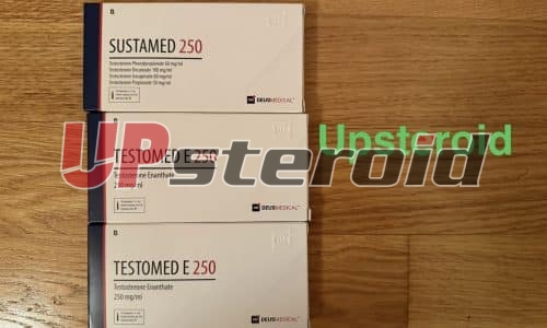 15/12/2025 - ORON-LA-VILLE VD -  SWITZERLAND