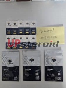 22/12/2025 - PLEUMEUR-BODOU - FRANCE