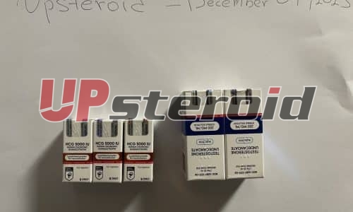 2025 12 23 694ac62a31fad up