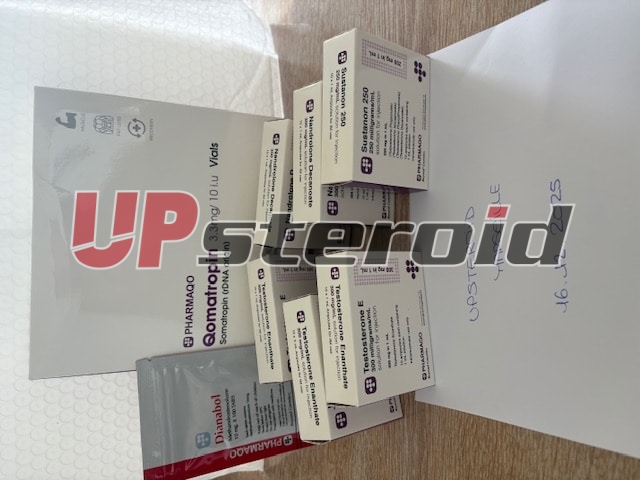 2025 12 23 694ace6447b0c image0