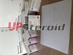 2026 01 26 697711e471ae9 IMG 8151