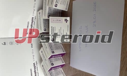 2026 01 26 697711e471ae9 IMG 8151