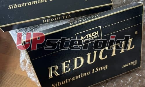 2026 02 13 698ef107d7d1c IMG 3771