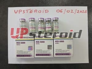 2026 02 15 69919aad86041 1356